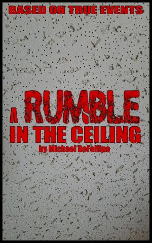 Cover of the book A Rumble in the Ceiling by BMB Johnson