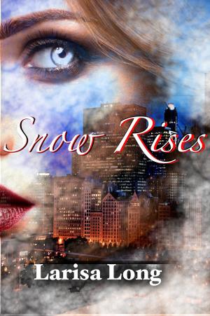 Cover of the book Snow Rises: An Adult Reverse Harem Romance by B. R. Holt