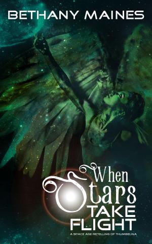 Cover of When Stars Take Flight