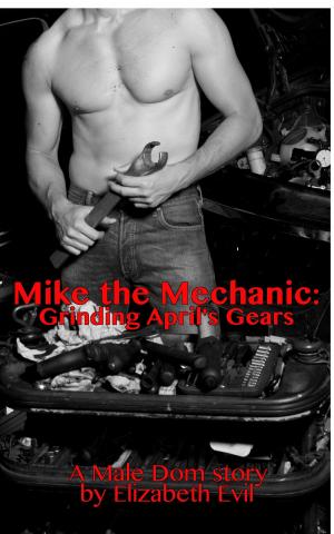 Book cover of Mike the Mechanic: Grinding April's Gears