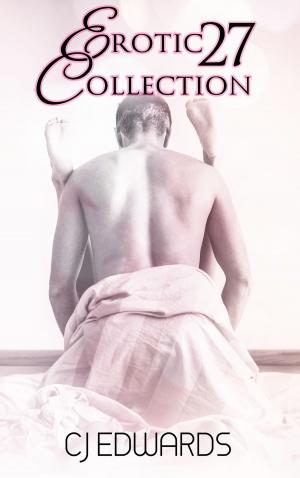 Cover of the book Erotic Collection 27 by C J Edwards