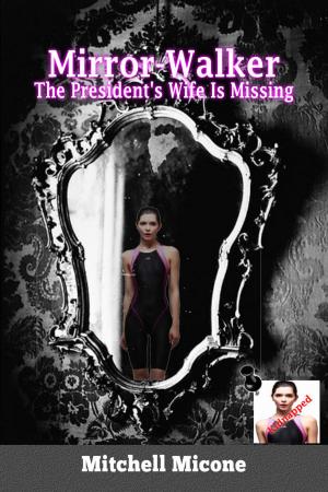 Cover of the book The President's Wife Is Missing (Mirror Walker Book 1) by Will Buster