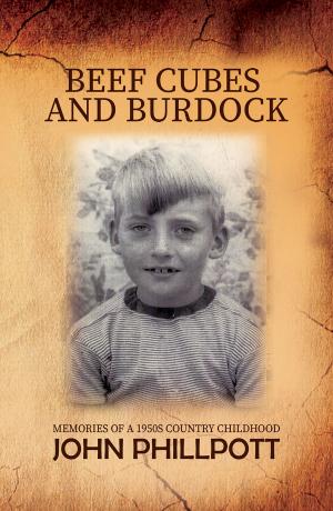 Cover of the book Beef Cubes And Burdock by Lily Monadjemi