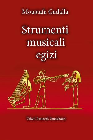 Cover of Strumenti musicali egizi