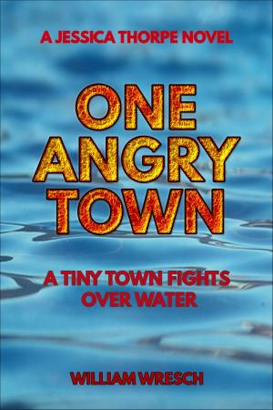 Cover of One Angry Town: A Tiny Town Fights Over Water