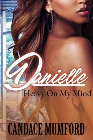 Cover of the book Danielle by Steve O'Brien