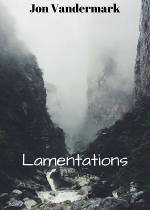 Book cover of Lamentations