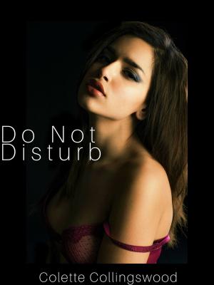Cover of the book Do Not Disturb by Katsura