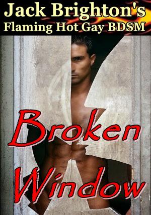 Book cover of Broken Window