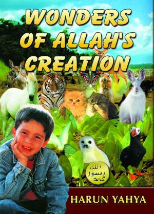 Cover of the book Wonders of Allah's Creation by Harun Yahya - Adnan Oktar