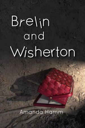 Cover of the book Brelin and Wisherton by Elsie Goodwin Gregory