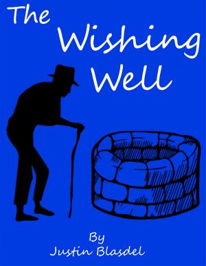 Cover of the book The Wishing Well by L.A. Jefferson