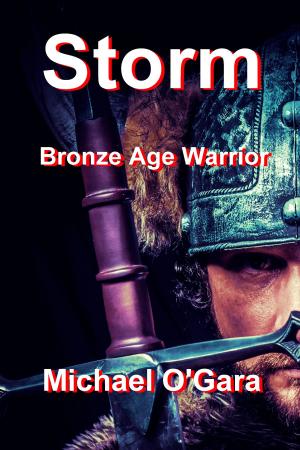 Cover of the book Storm: Bronze Age Warrior by Dawn Pitts