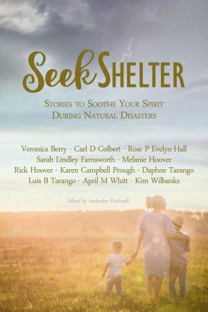 Book cover of Seek Shelter: Stories to Soothe Your Spirit During Natural Disasters