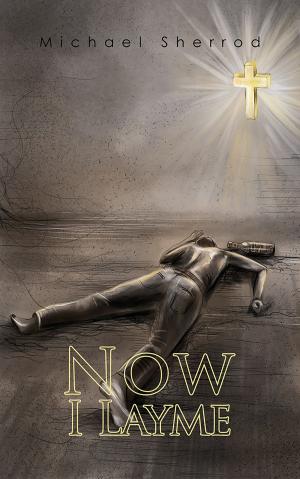 Cover of the book Now I Layme by Lisa Primrose