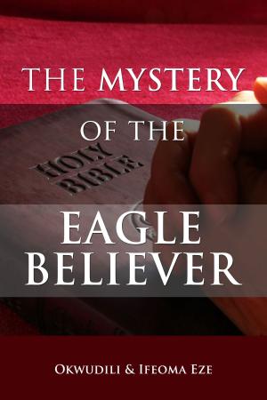 Cover of the book The Mystery of the Eagle Believer by Jenny Rae Armstrong, Aaron Armstrong