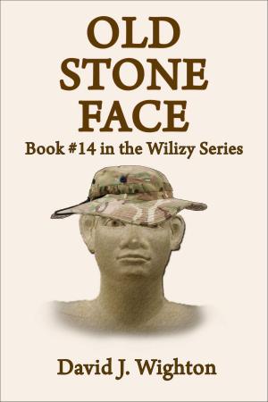 Cover of Old Stone Face