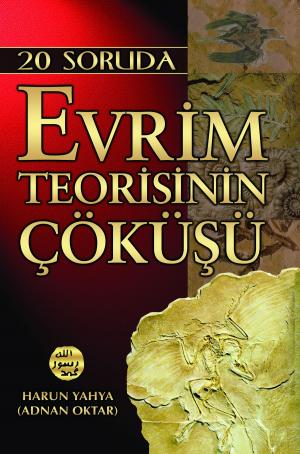 Book cover of 20 Soruda Evrim Teorisinin Çöküşü