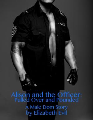 Cover of the book Alison and the Officer: Pulled Over and Pounded by Amy Blankenship
