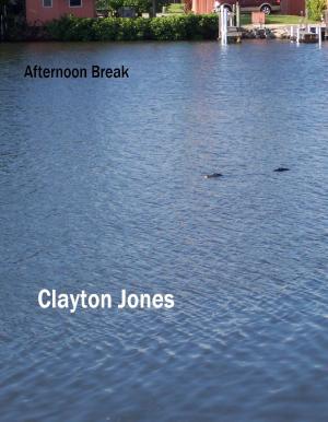 Cover of the book Afternoon Break by 天罪