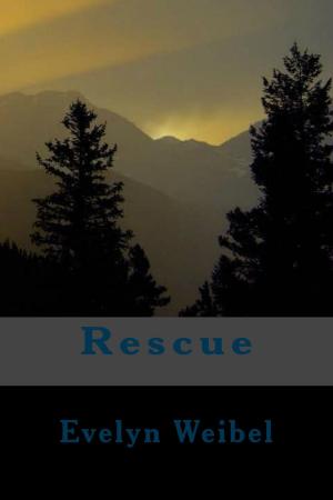Cover of the book Rescue by Jeff McDargh