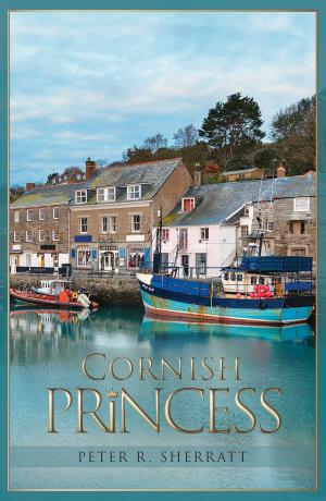 Cover of the book Cornish Princess by Ceridwen Rees