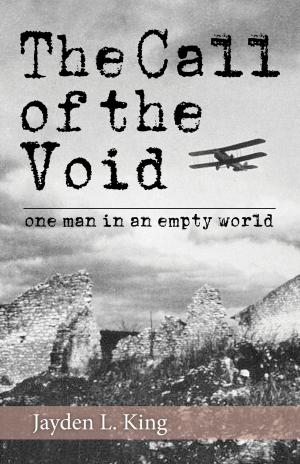 Cover of the book The Call of the Void by Annie Walls
