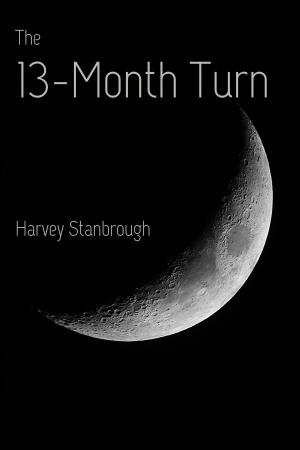 Cover of the book The 13-Month Turn by Kenneth Flowers