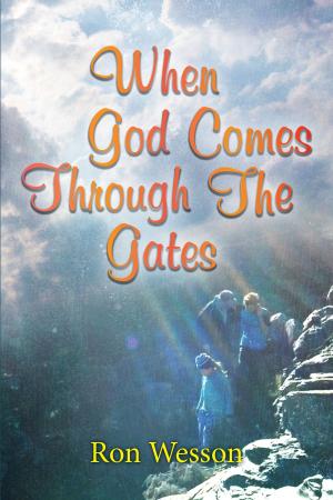 Cover of When God Comes Through The Gates