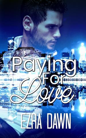 Book cover of Paying For Love