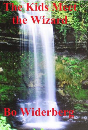 Cover of the book The Kids Meet the Wizard by Bo Widerberg