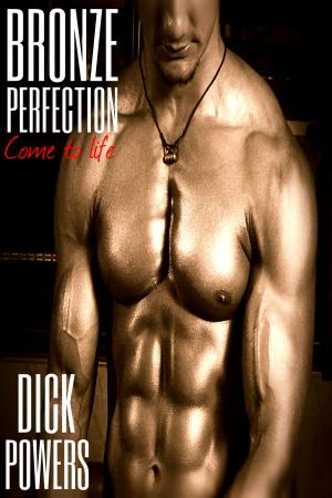 Cover of the book Bronze Perfection by Kenneth Guthrie