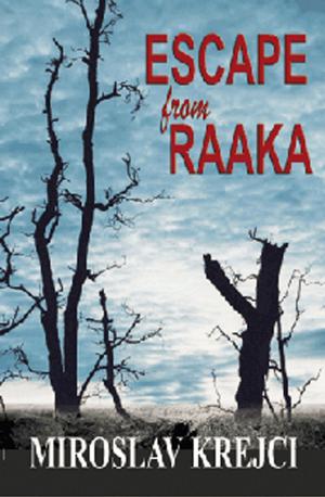 Cover of the book Escape from Raaka by Sheldon Friedman