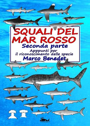 Cover of the book Squali del Mar Rosso: 2a parte Le specie by Lucille Bellucci