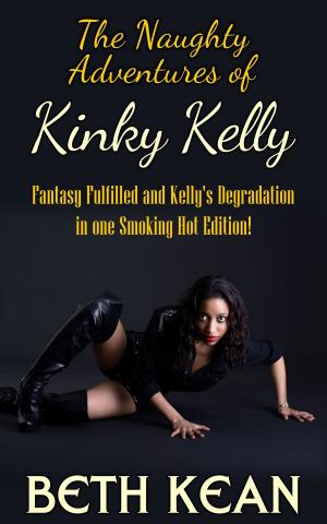 Book cover of The Naughty Adventures of Kinky Kelly