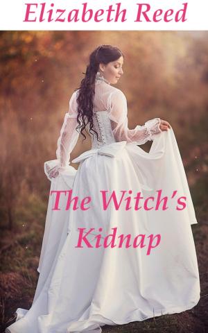 Cover of the book The Witch’s Kidnap by Heather Sunnydale