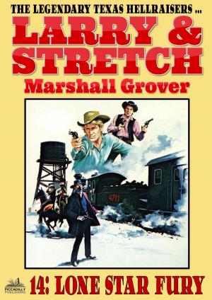 Cover of the book Larry and Stretch 14: Lone Star Fury by Frederick Nolan