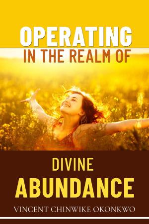 Cover of the book Operating in the Realm of Divine Abundance by Jeff Little