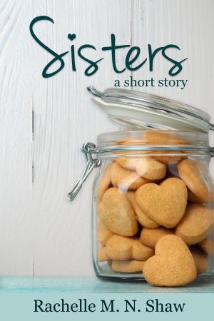 Cover of the book Sisters by Jan Morrill