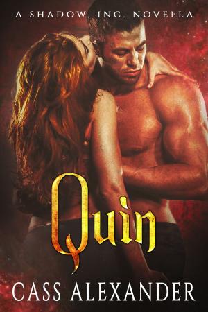 Book cover of Quin: A Shadow, Inc. Novella