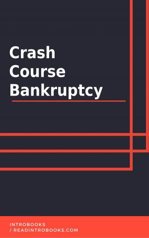 Cover of the book Crash Course Bankruptcy by Can Akdeniz