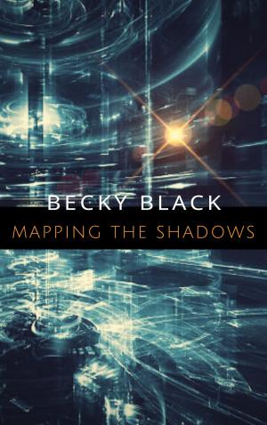 Cover of the book Mapping the Shadows by Kim Schubert