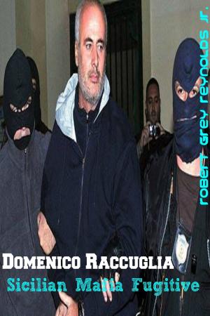 Cover of the book Domenico Raccuglia Sicilian Mafia Fugitive by Robert Grey Reynolds Jr