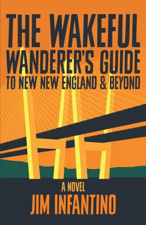 Book cover of The Wakeful Wanderer's Guide to New New England & Beyond