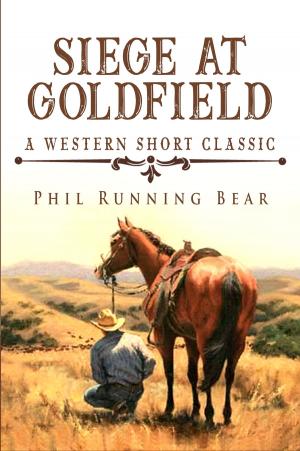 bigCover of the book Siege At Goldfield by 