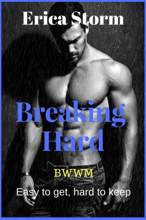 Cover of the book Breaking Hard by Erica Storm