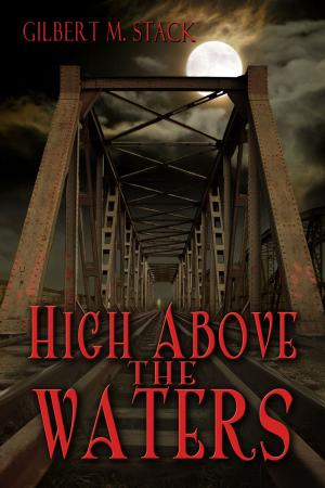 Cover of the book High Above the Waters by TW Colvin