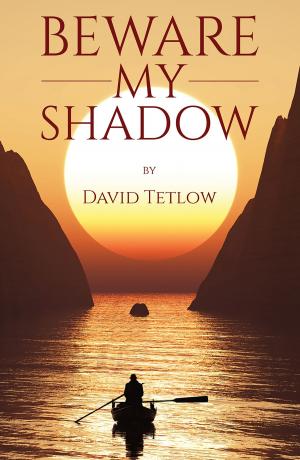 Cover of the book Beware My Shadow by SI Gordon
