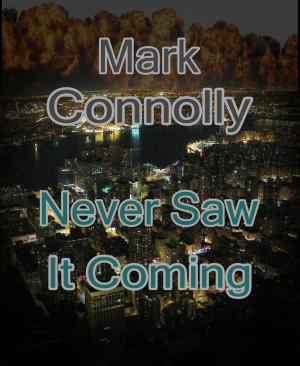 Cover of the book Never Saw It Coming by J. A. Antonio