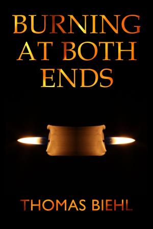 Cover of the book Burning at Both Ends by W H Davies